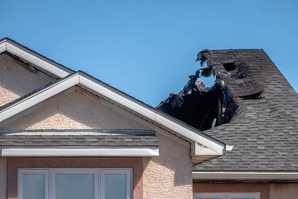 Top rated local Fire Damage Removal specialists in Dublin, PA